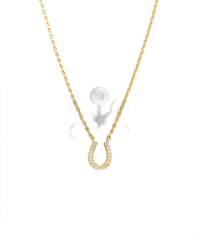 horseshoe necklace