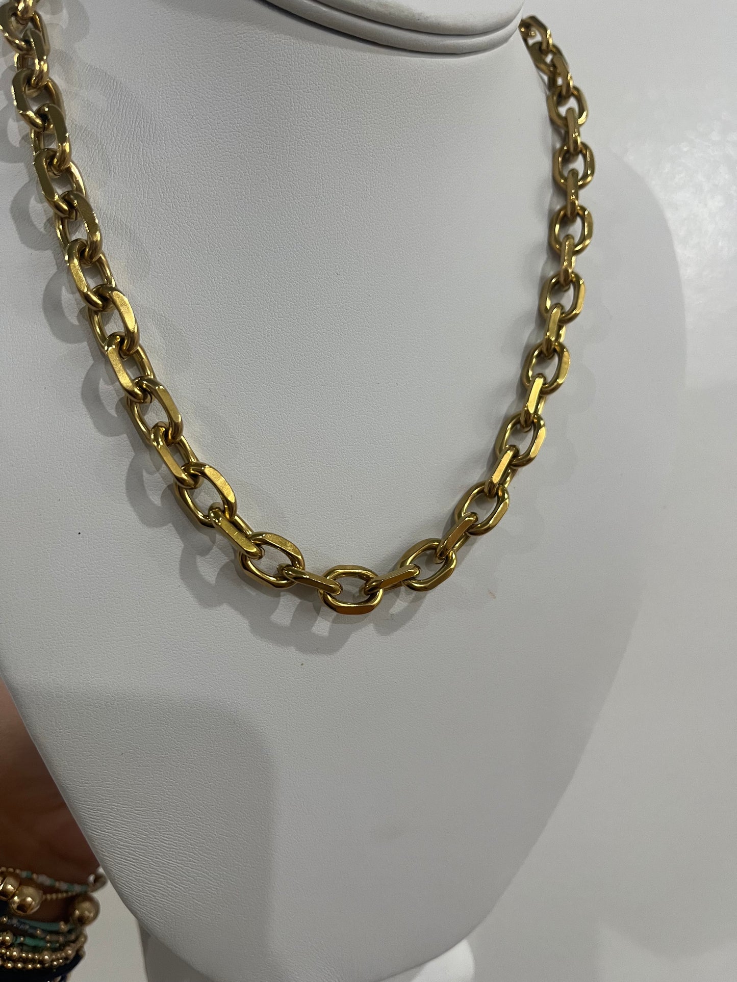 ann chain!