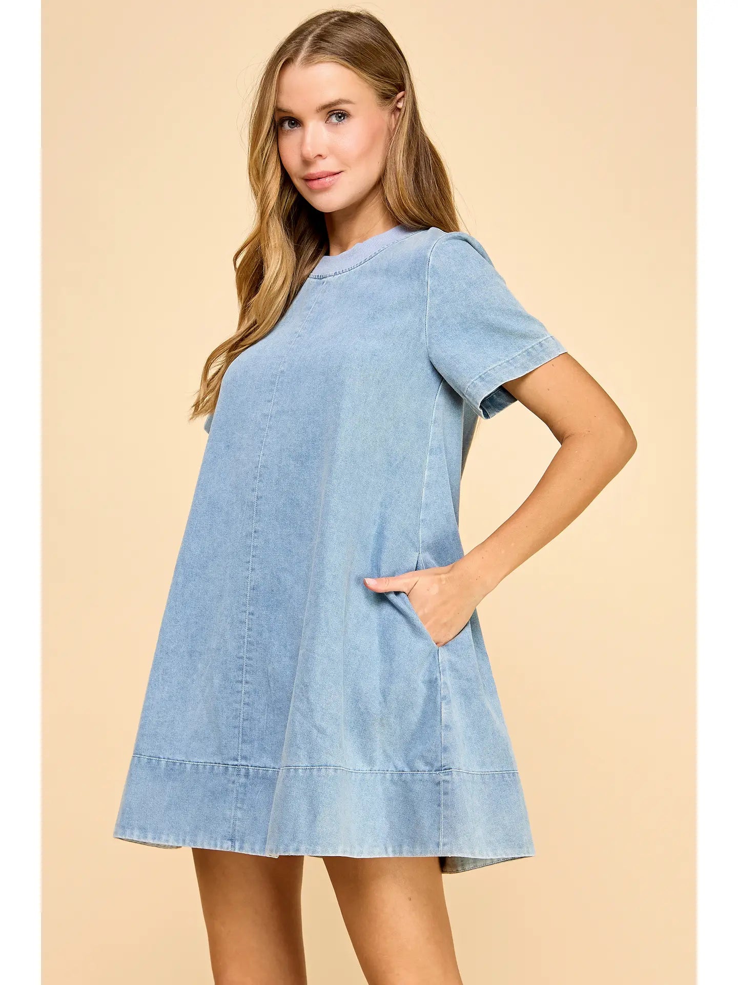 everly denim dress