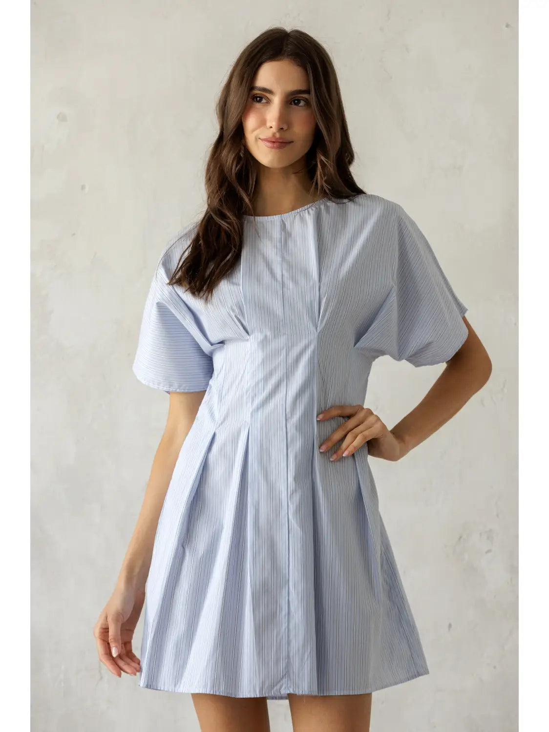 elisa pinstriped mini dress