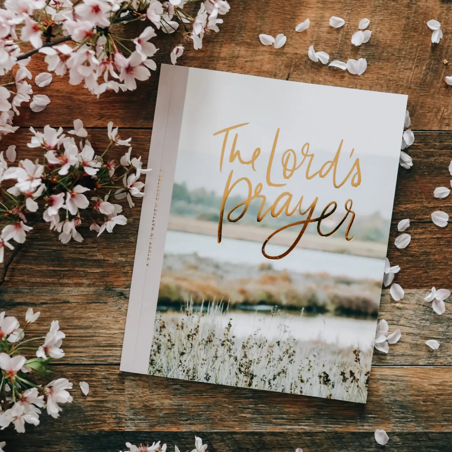 the Lords prayer bible study
