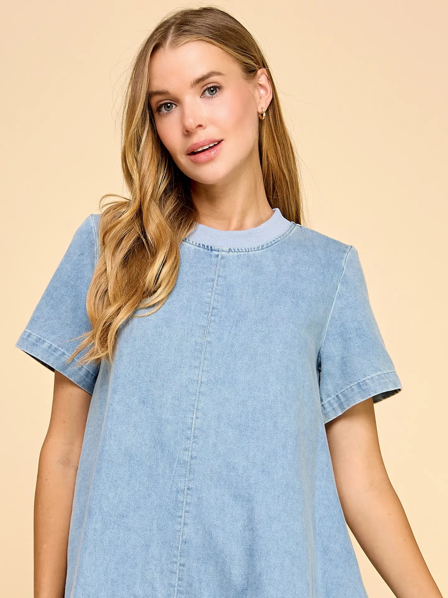 everly denim dress