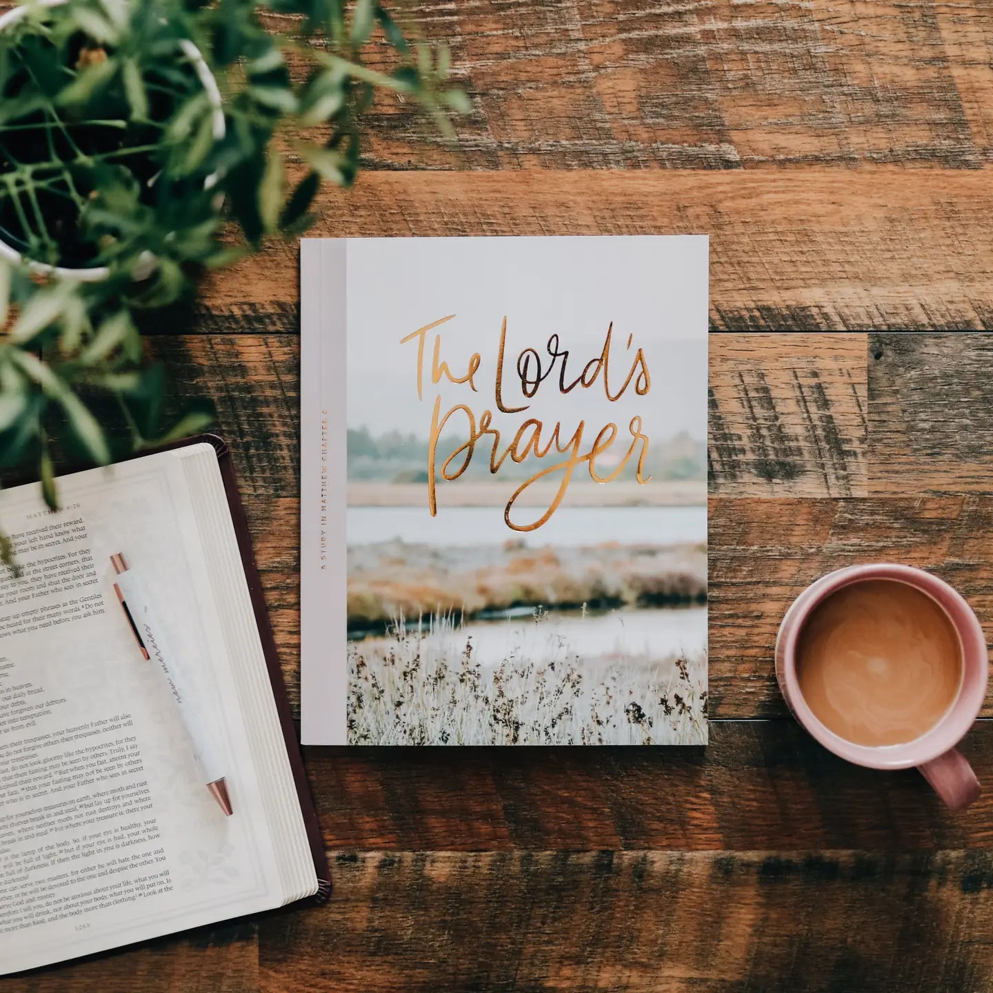 the Lords prayer bible study