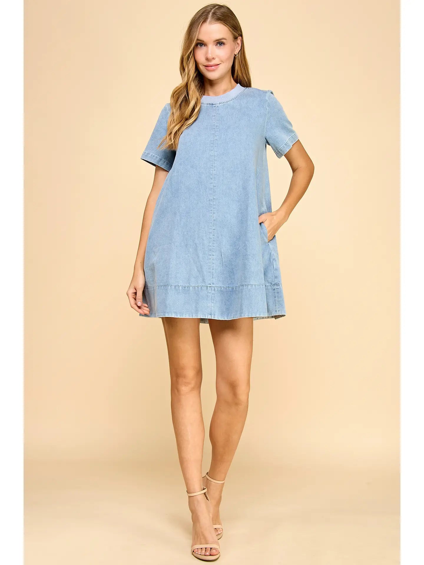 everly denim dress