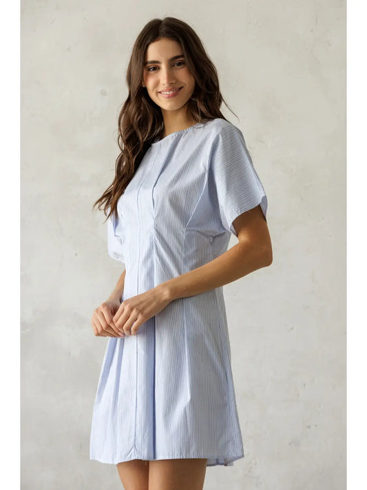 elisa pinstriped mini dress