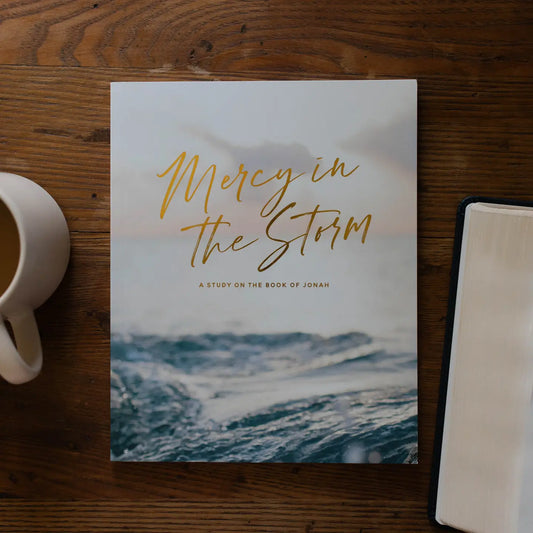 mercy in the storm bible study
