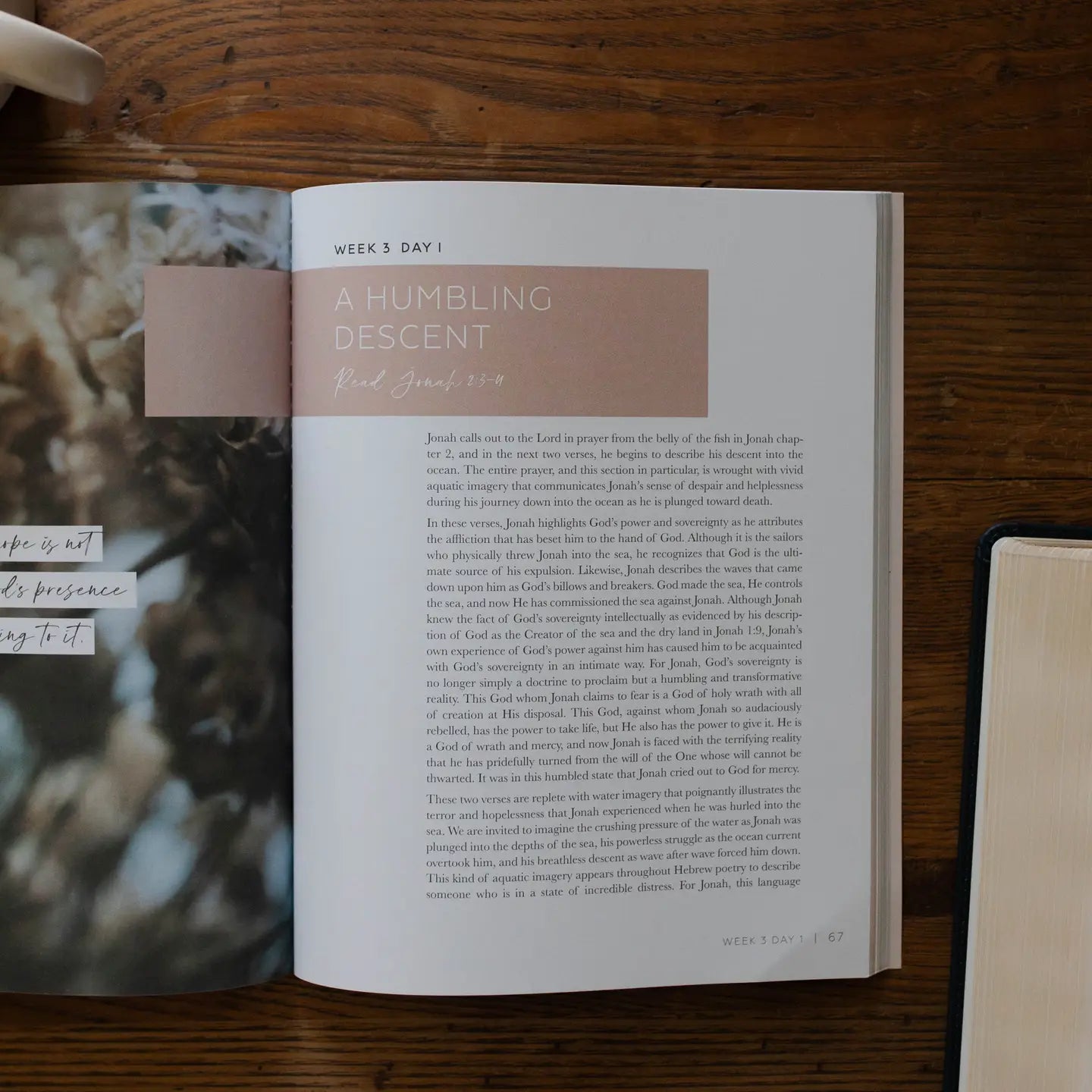mercy in the storm bible study