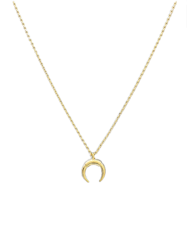 horn necklace
